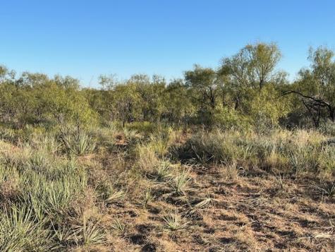 Tbd Fm 1224 Roby TX 79543