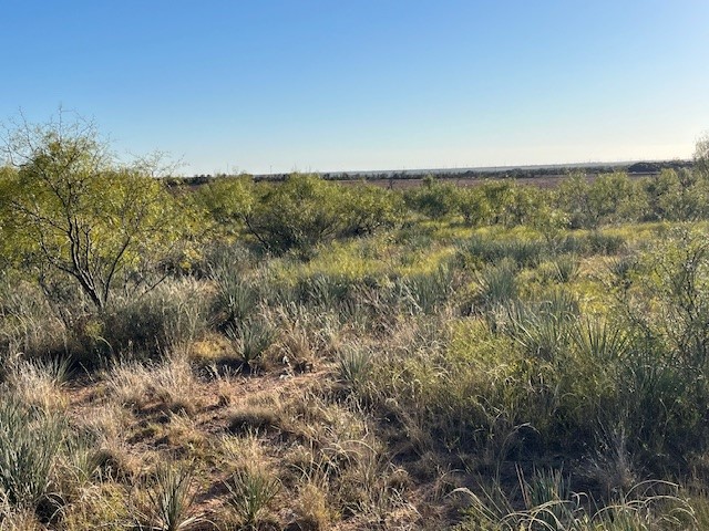 Tbd Fm 1224 Roby TX 79543