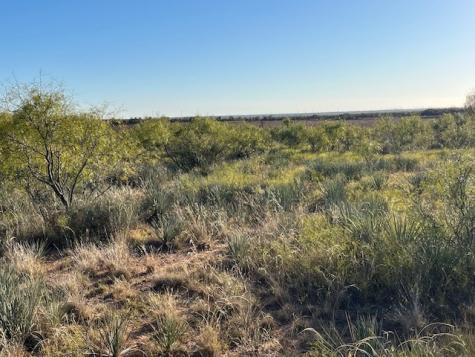 Tbd Fm 1224 Roby TX 79543