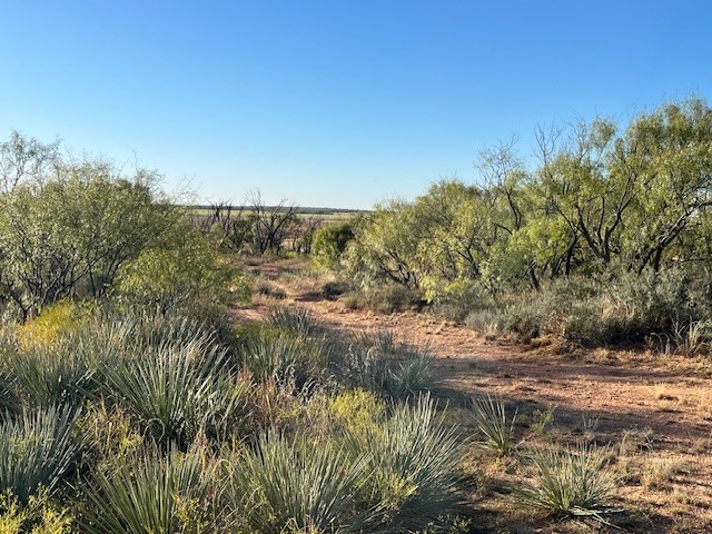 Tbd Fm 1224 Roby TX 79543