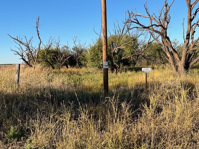 Tbd Fm 1224 Roby TX 79543