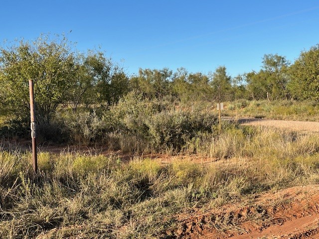 Tbd Fm 1224 Roby TX 79543