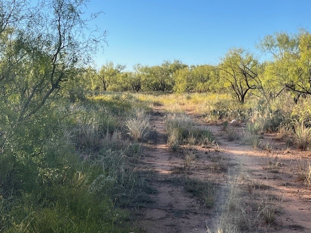 Tbd Fm 1224 Roby TX 79543