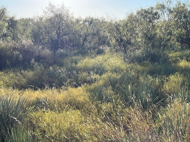 Tbd Fm 1224 Roby TX 79543