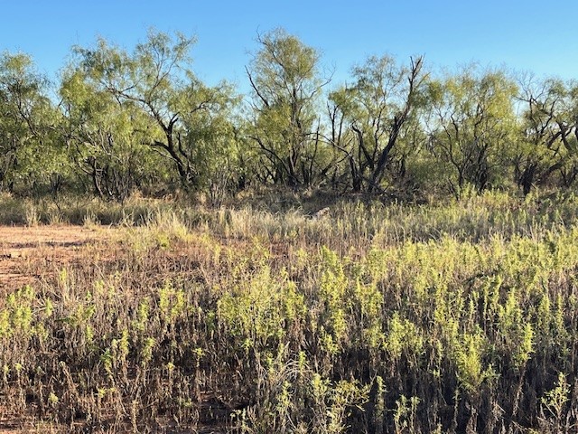 Tbd Fm 1224 Roby TX 79543