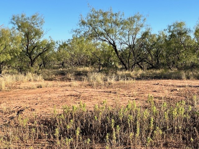 Tbd Fm 1224 Roby TX 79543