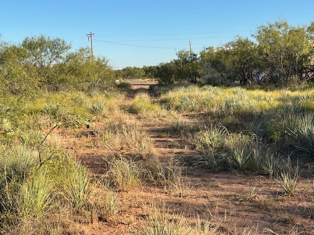 Tbd Fm 1224 Roby TX 79543