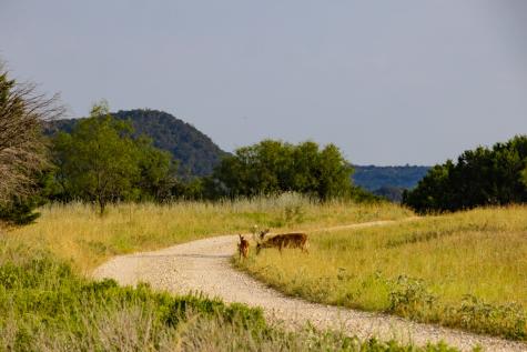 Tbd Fortune Bend Road Graford TX 76449