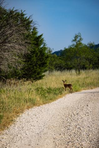 Tbd Fortune Bend Road Graford TX 76449