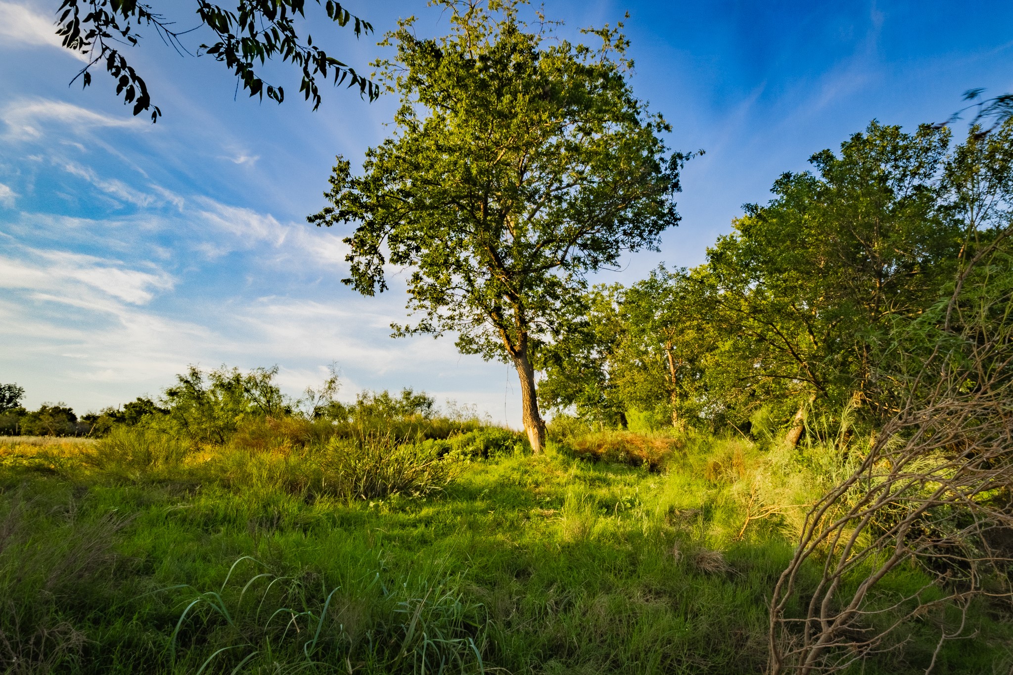 Tbd Fortune Bend Road Graford TX 76449