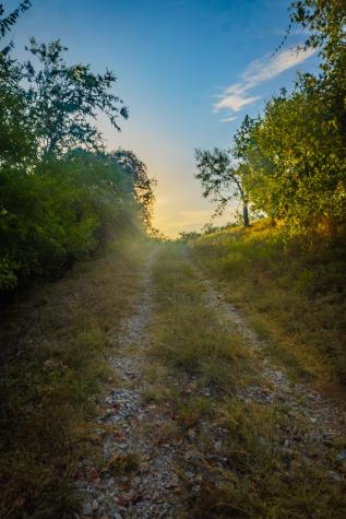 Tbd Fortune Bend Road Graford TX 76449