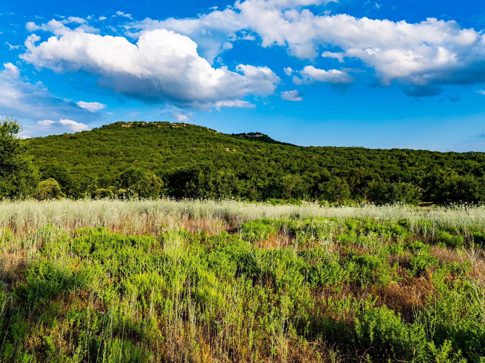 Tbd Fortune Bend Road Graford TX 76449
