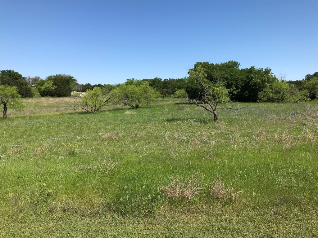 19115 White Bluff Drive Whitney TX 76692