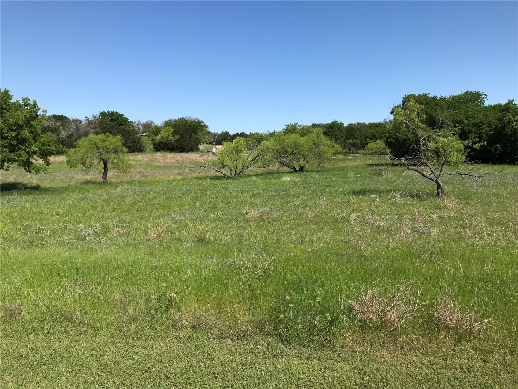19115 White Bluff Drive Whitney TX 76692