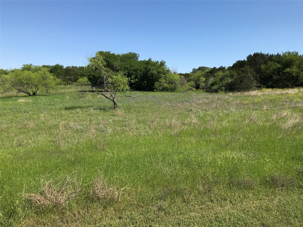 19115 White Bluff Drive Whitney TX 76692