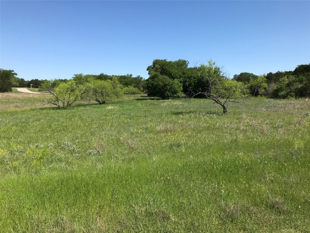 19115 White Bluff Drive Whitney TX 76692