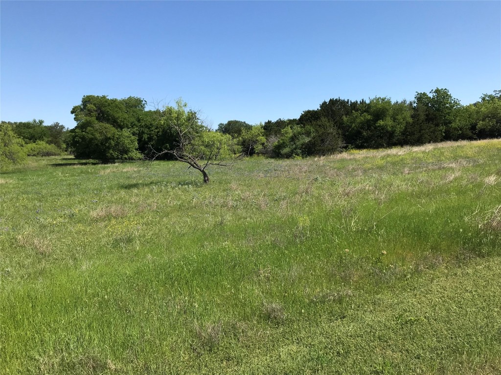 19115 White Bluff Drive Whitney TX 76692