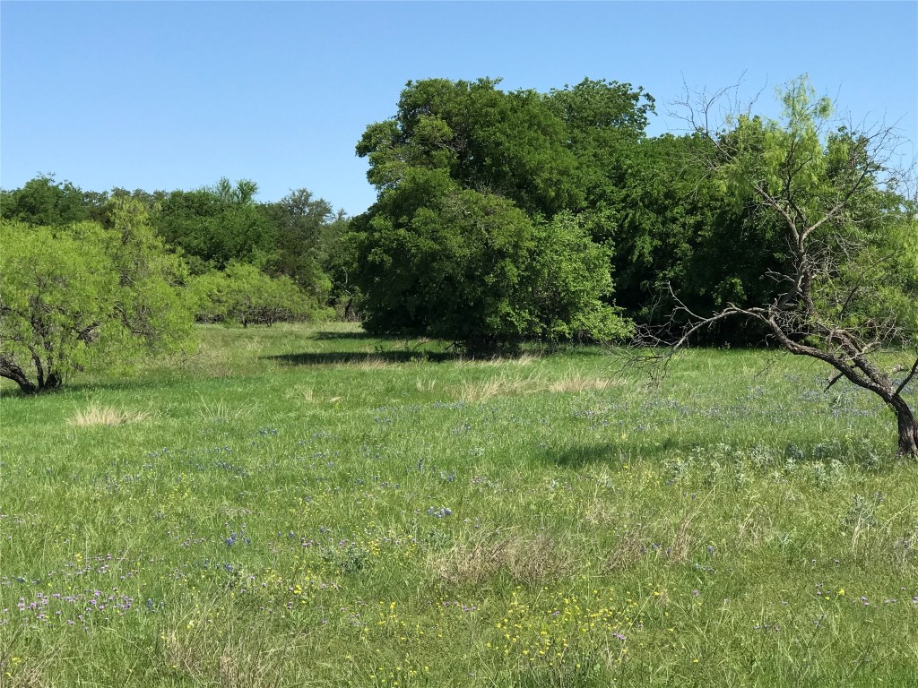 19115 White Bluff Drive Whitney TX 76692