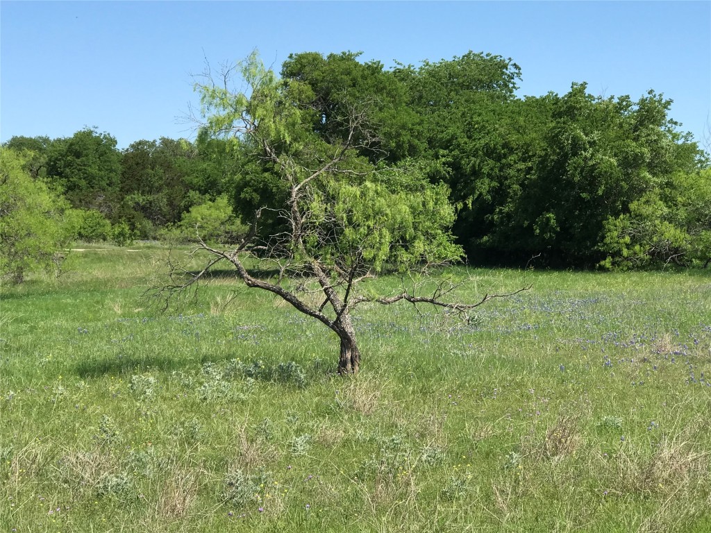 19115 White Bluff Drive Whitney TX 76692