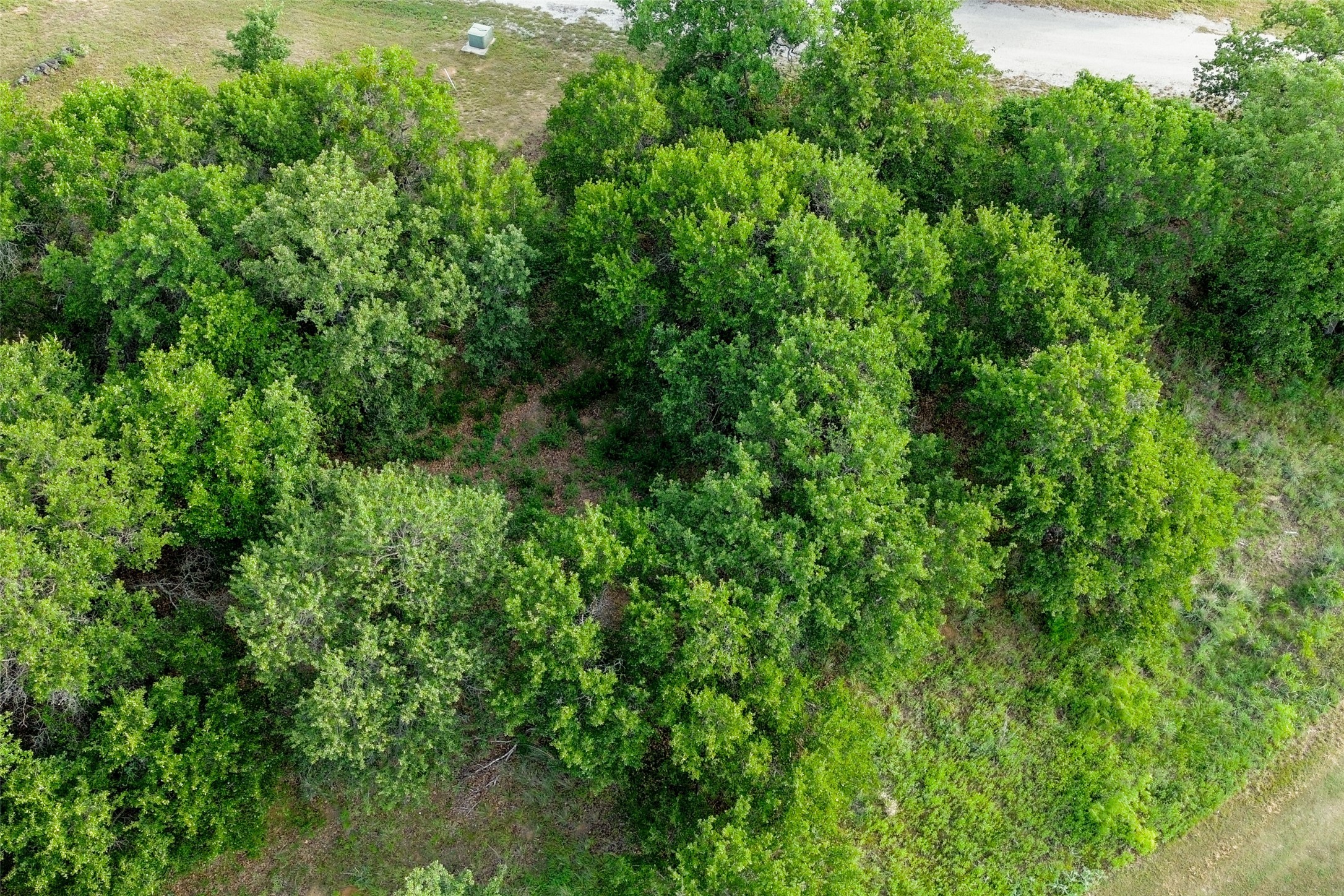 173 Oakwood Trail Eastland TX 76448