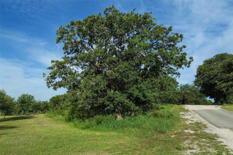 173 Oakwood Trail Eastland TX 76448