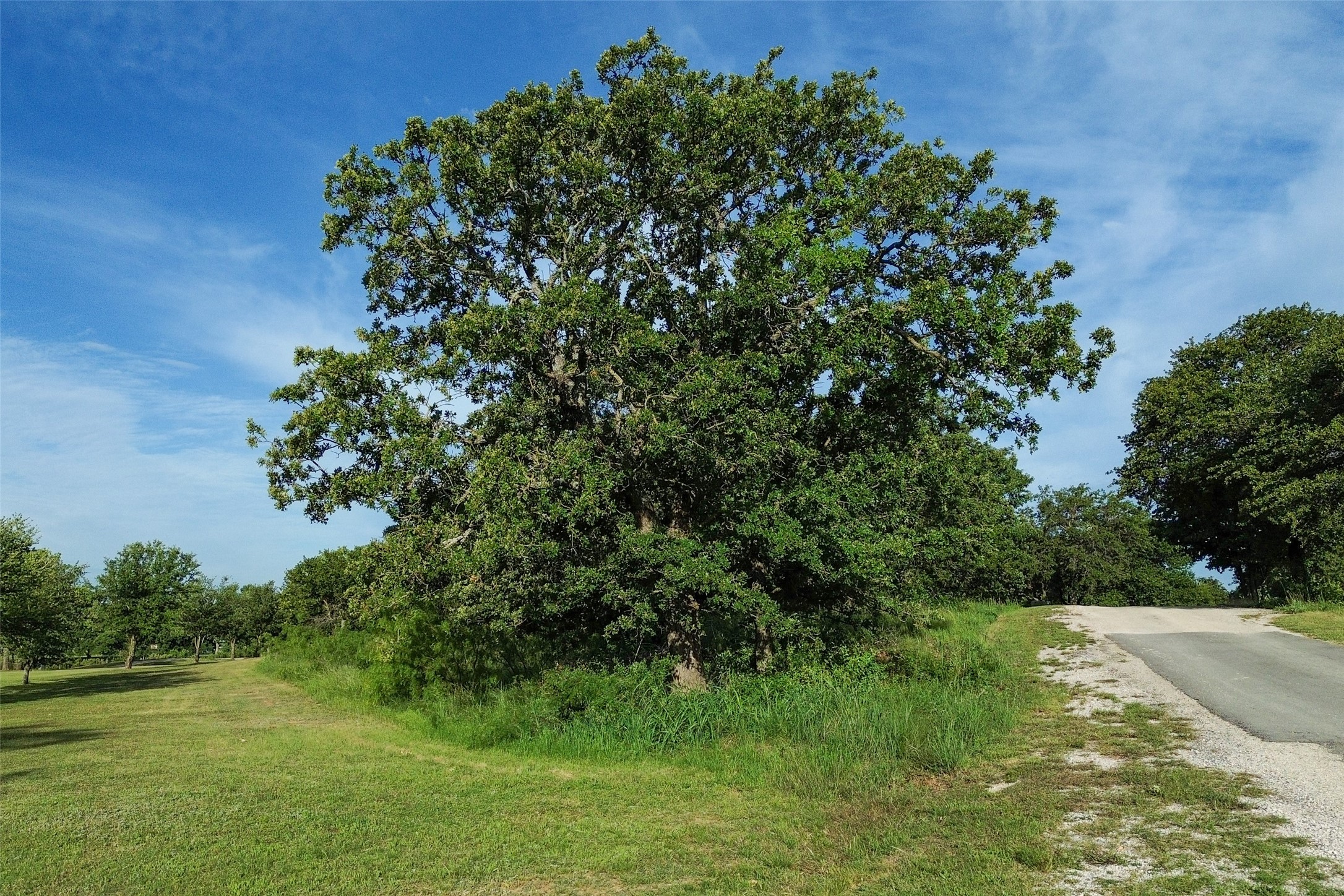 173 Oakwood Trail Eastland TX 76448