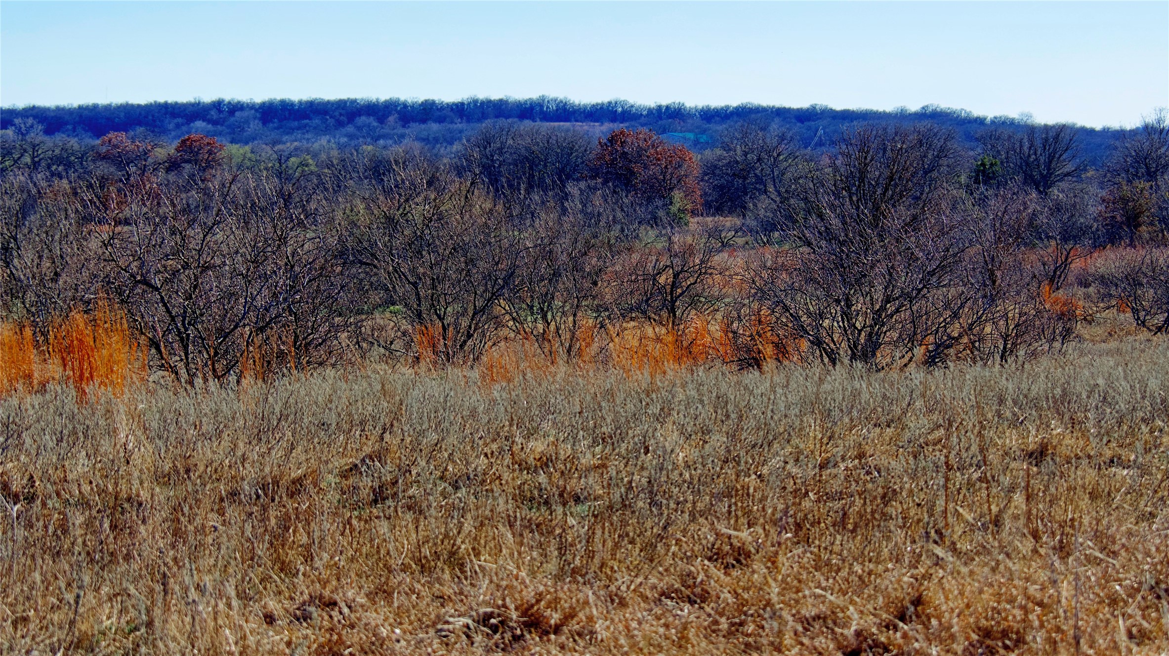0 W Highway 82 Nocona TX 76255