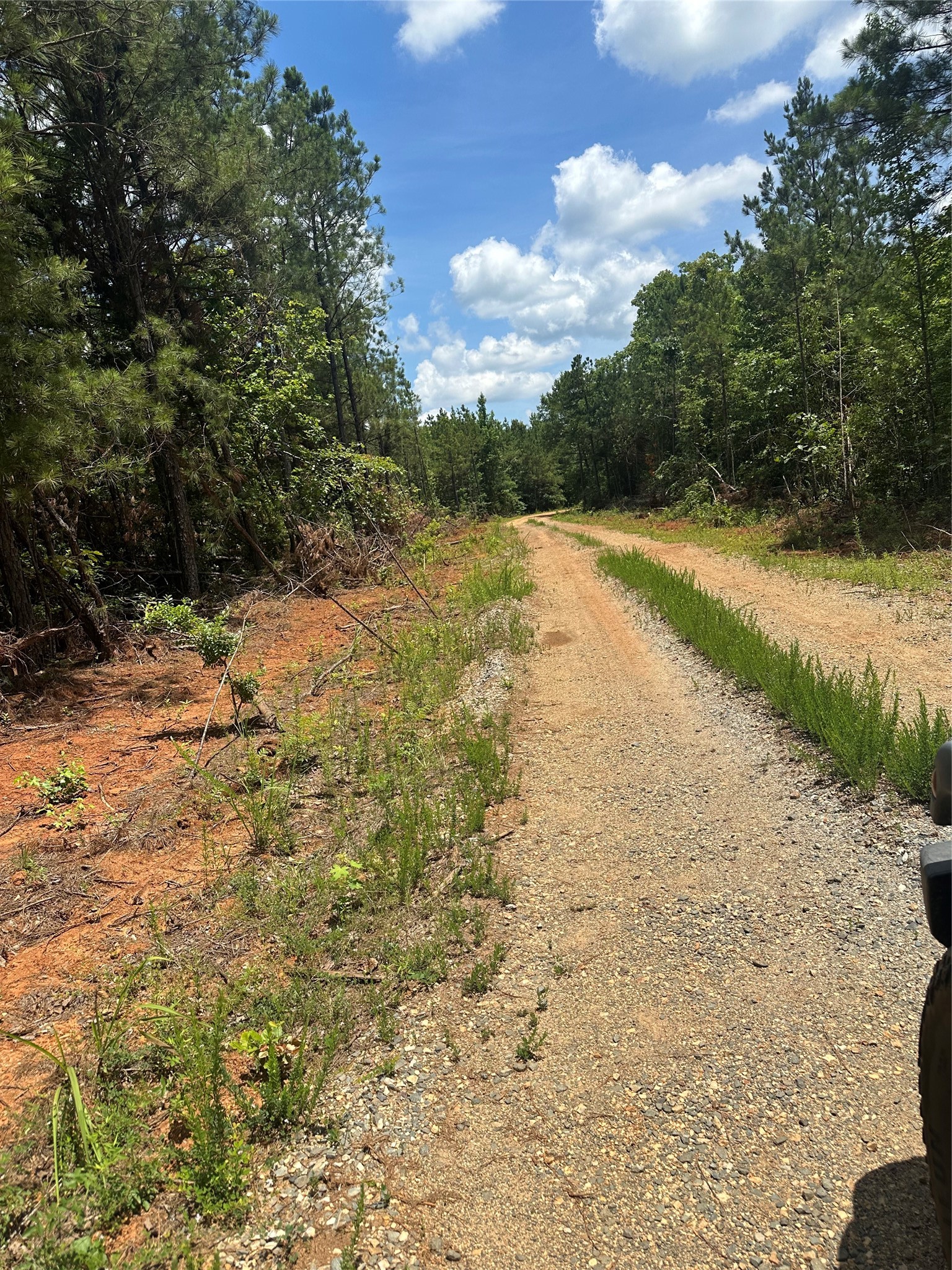 00 Maxey Haynesville LA 71035
