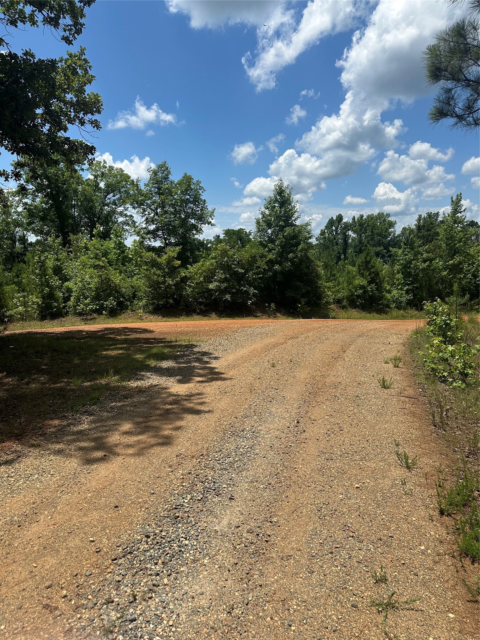 00 Maxey Haynesville LA 71035