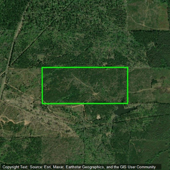 00 Maxey Haynesville LA 71035