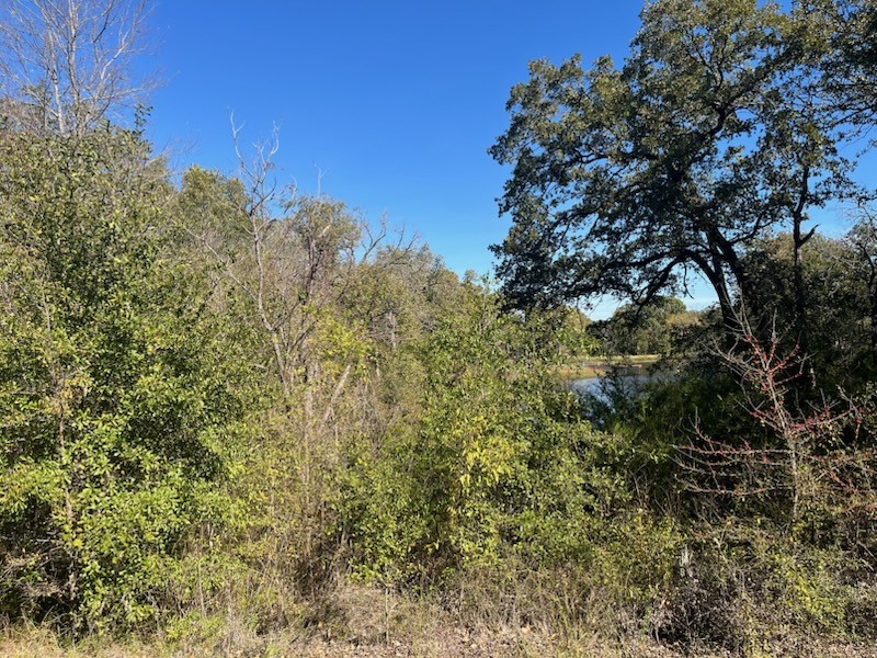 68 April Cove Streetman TX 75859
