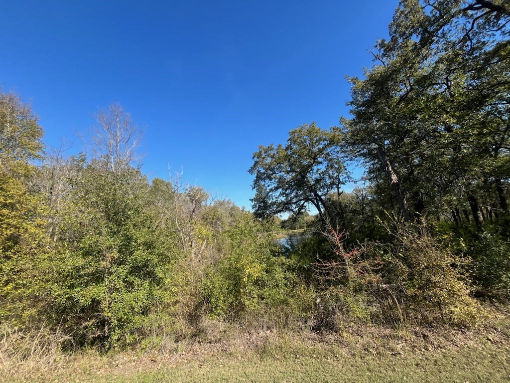 68 April Cove Streetman TX 75859
