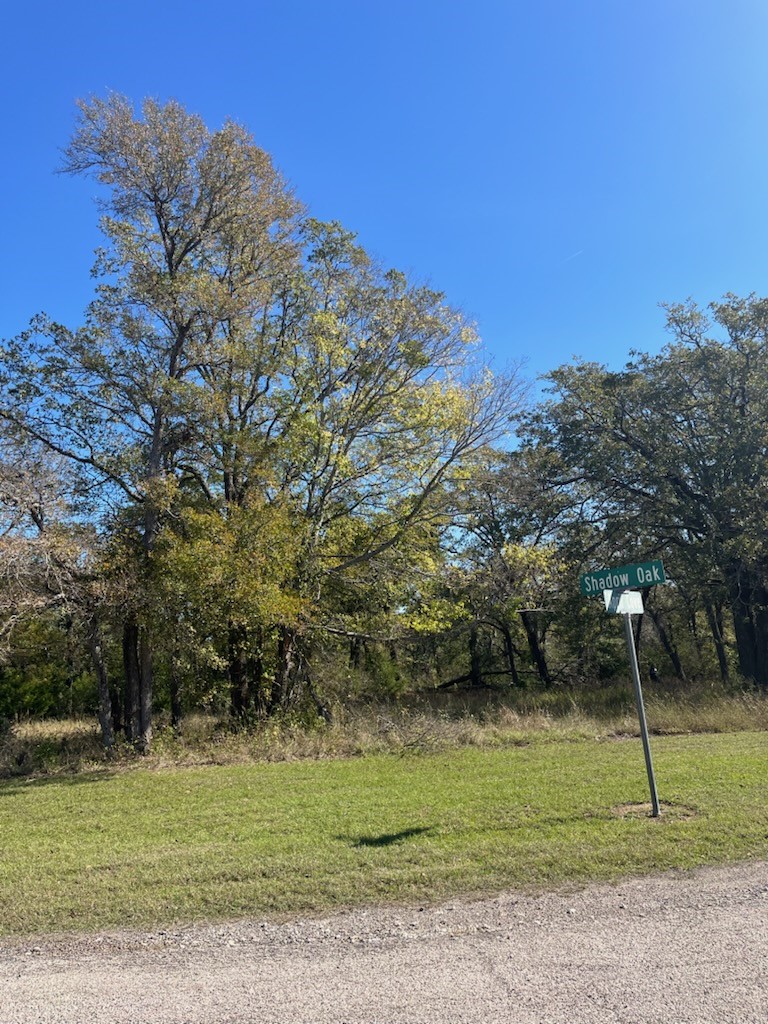 68 April Cove Streetman TX 75859