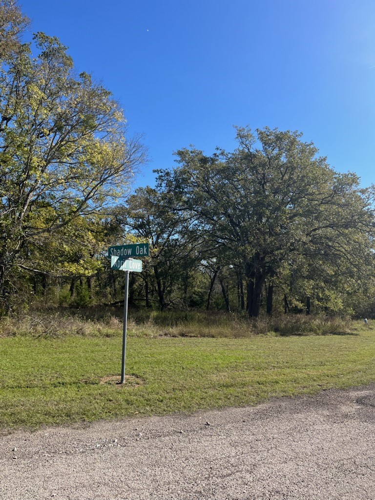 68 April Cove Streetman TX 75859