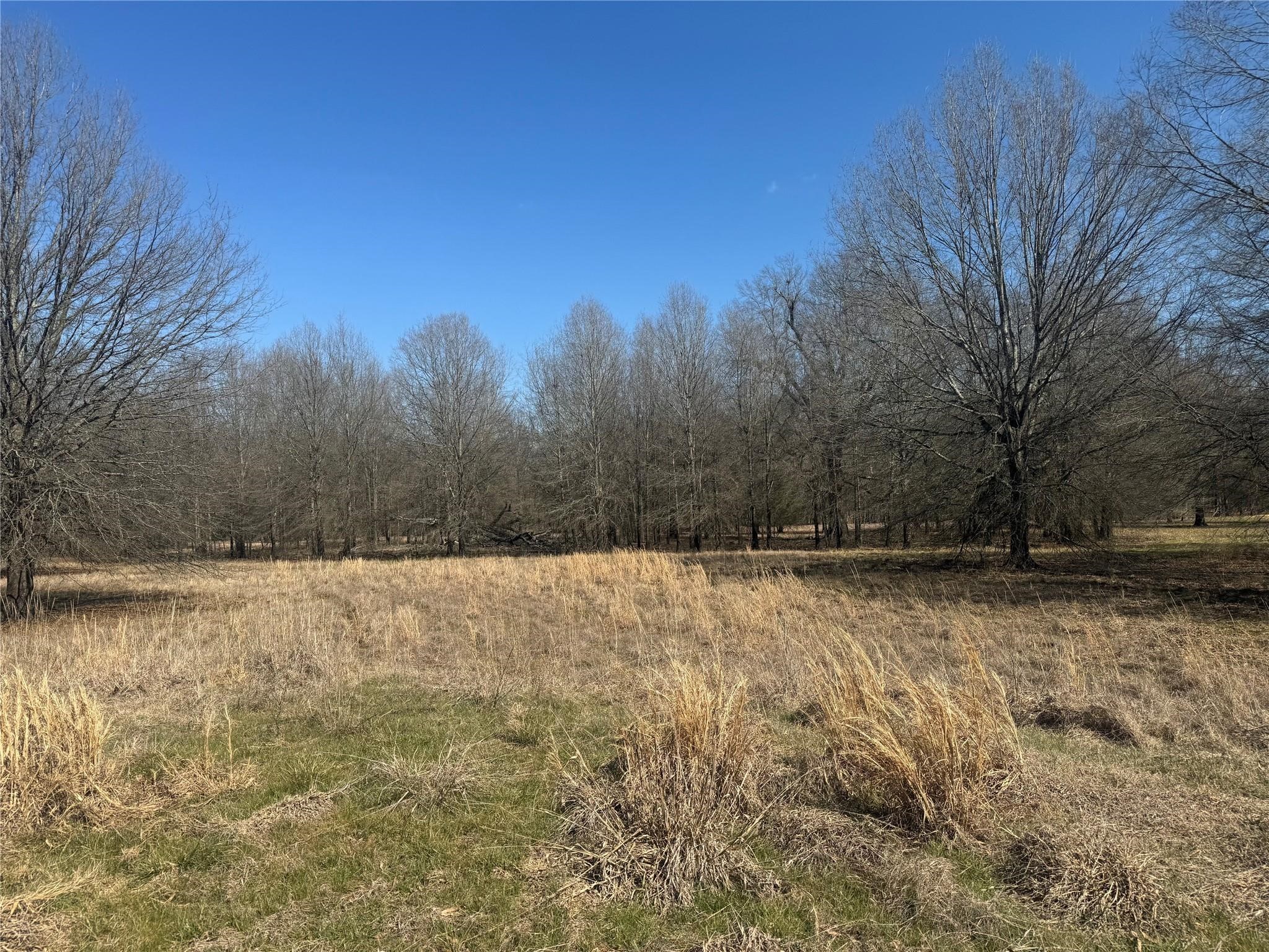 Tbd Pr 44005 Blossom TX 75416