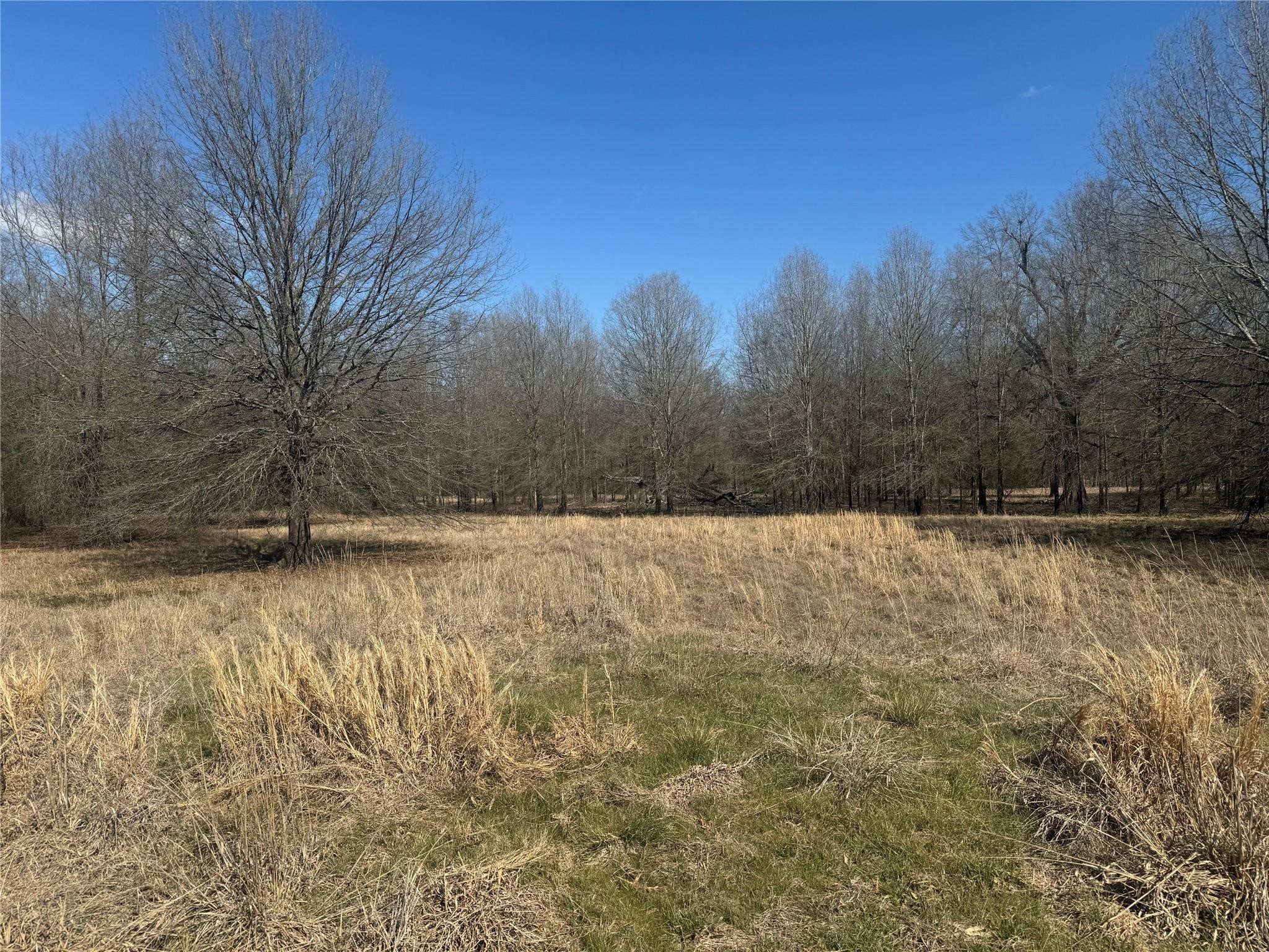Tbd Pr 44005 Blossom TX 75416