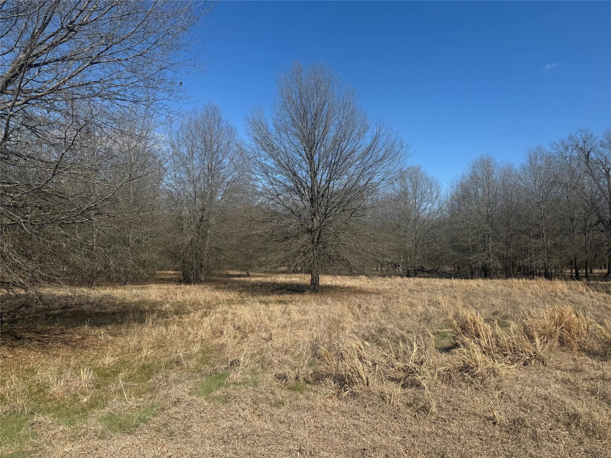 Tbd Pr 44005 Blossom TX 75416