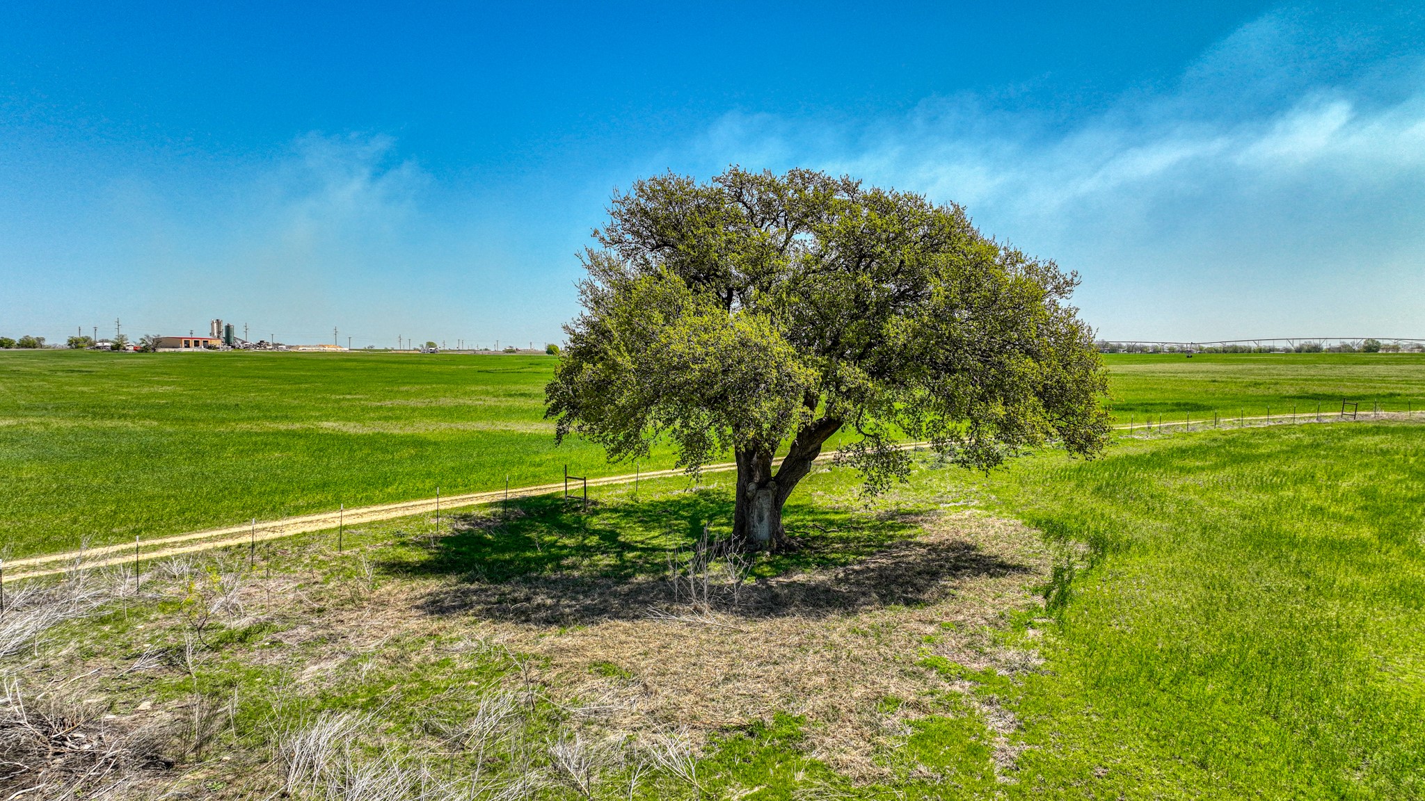 Tbd Tx-6 Dublin TX 76446