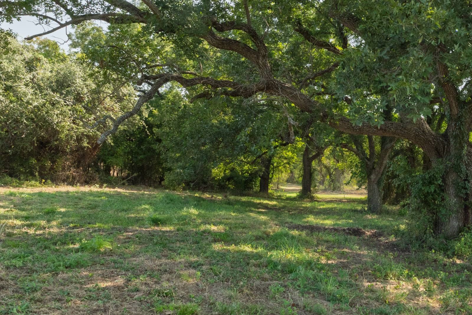 2700 Overton Court Granbury TX 76048
