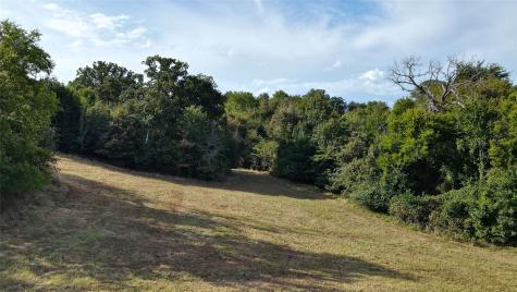 Lot 255 Overlook Point Athens TX 75752