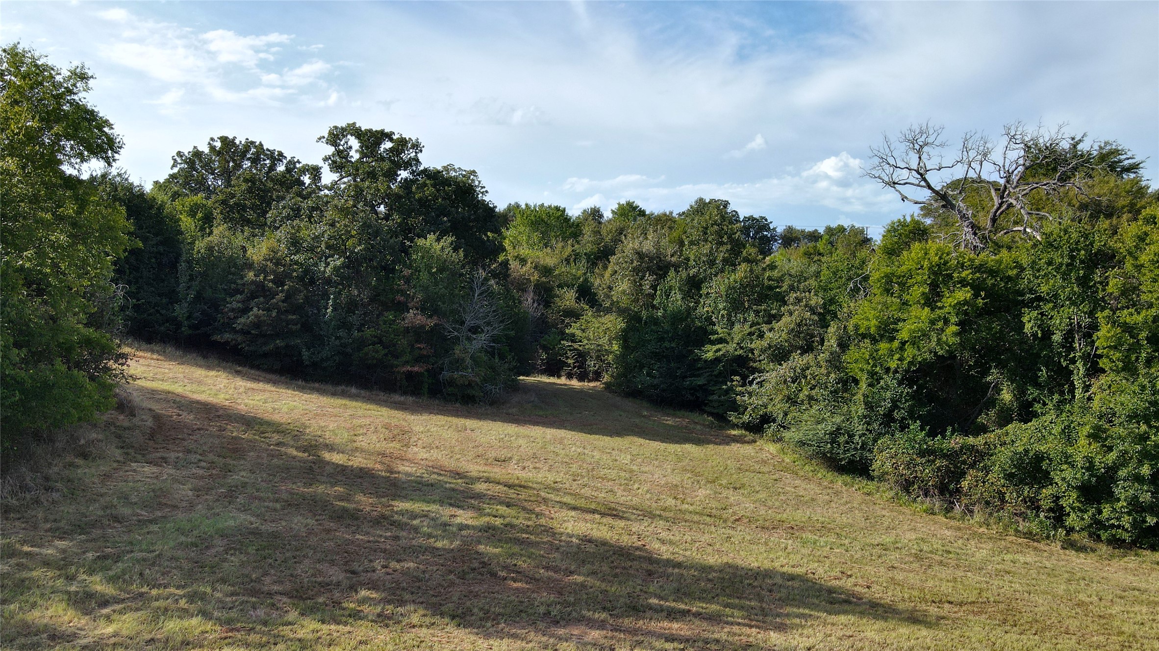 Lot 255 Overlook Point Athens TX 75752
