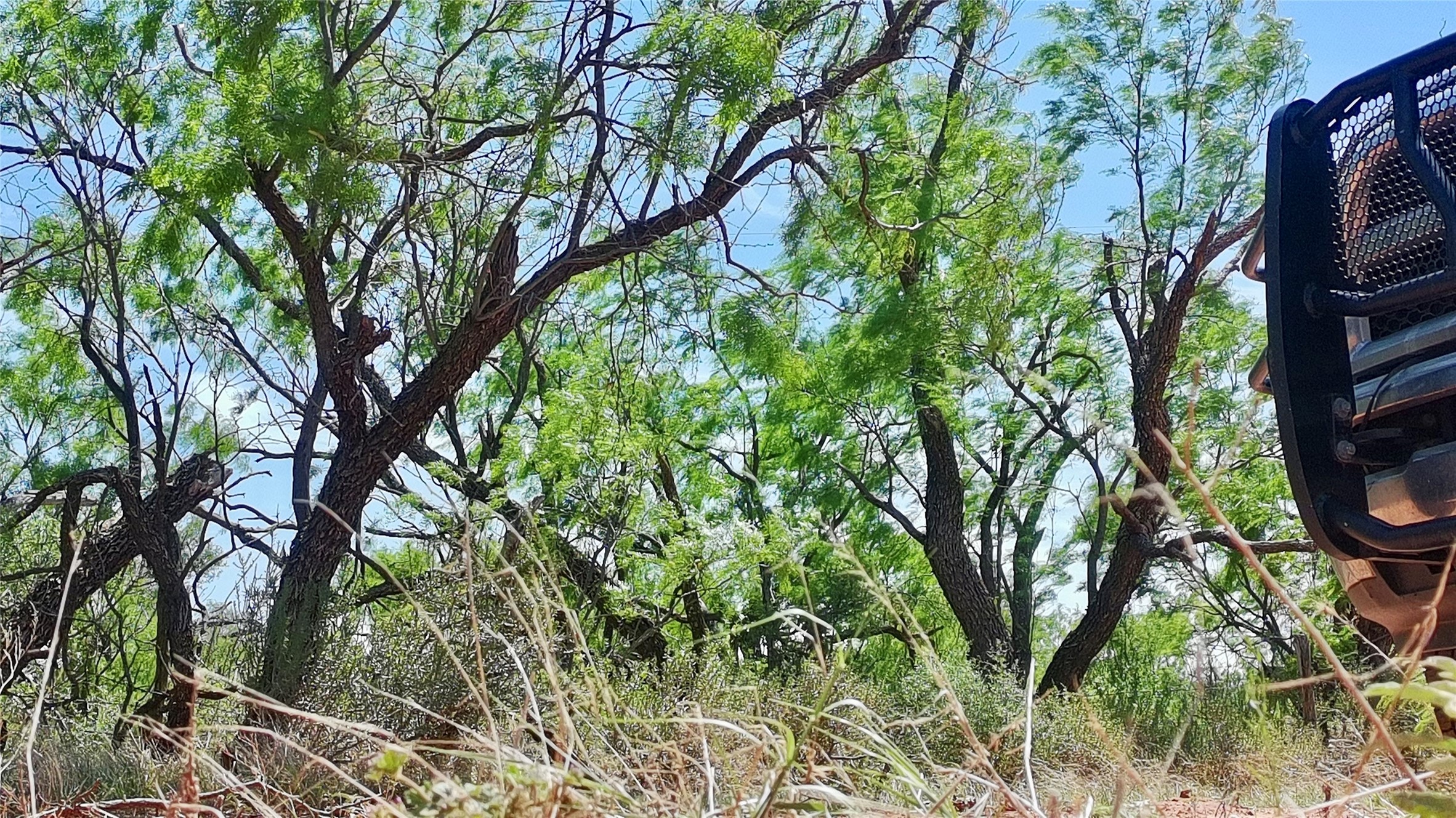 Tbd Fm 57 Roby TX 79560