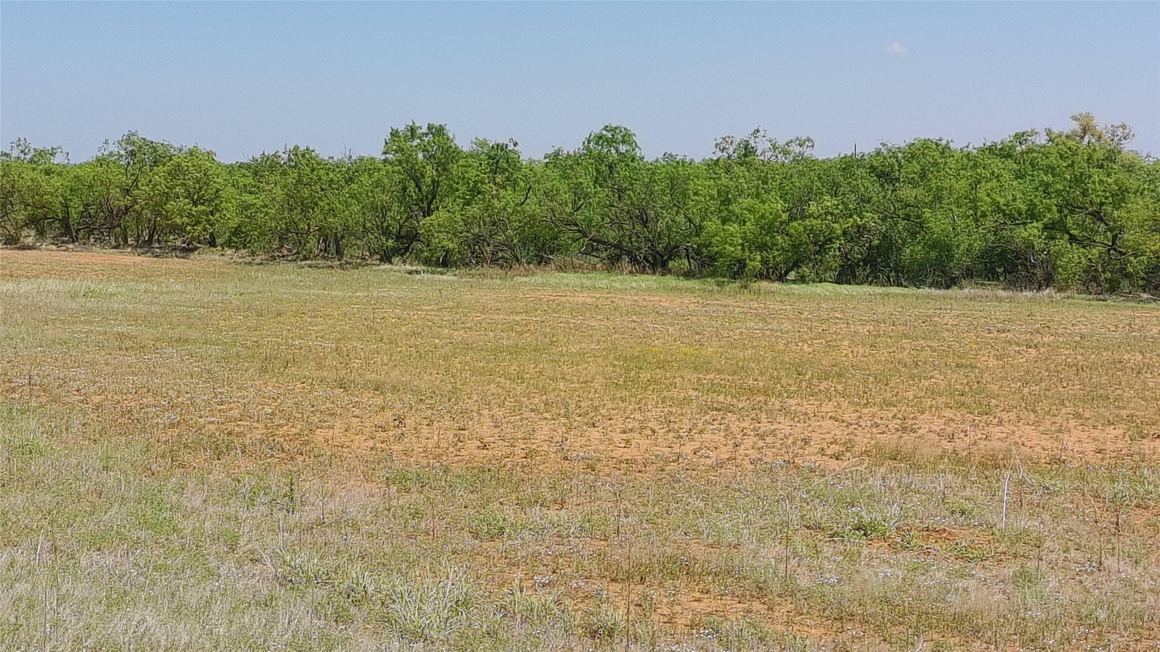 Tbd Fm 57 Roby TX 79560