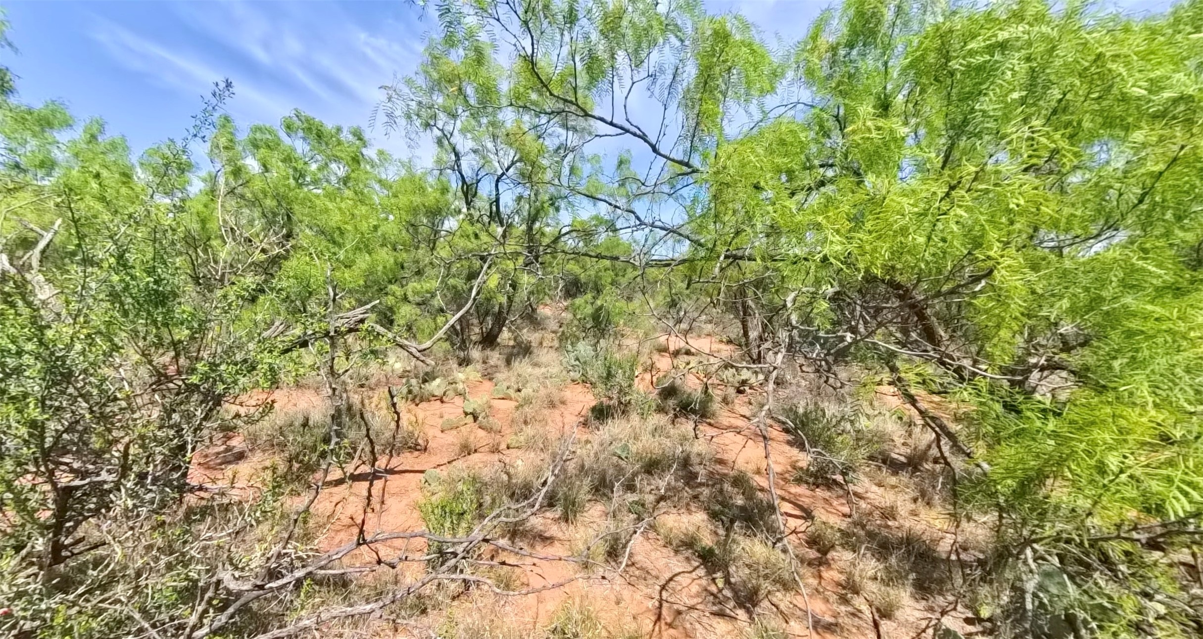 Tbd Fm 57 Roby TX 79560