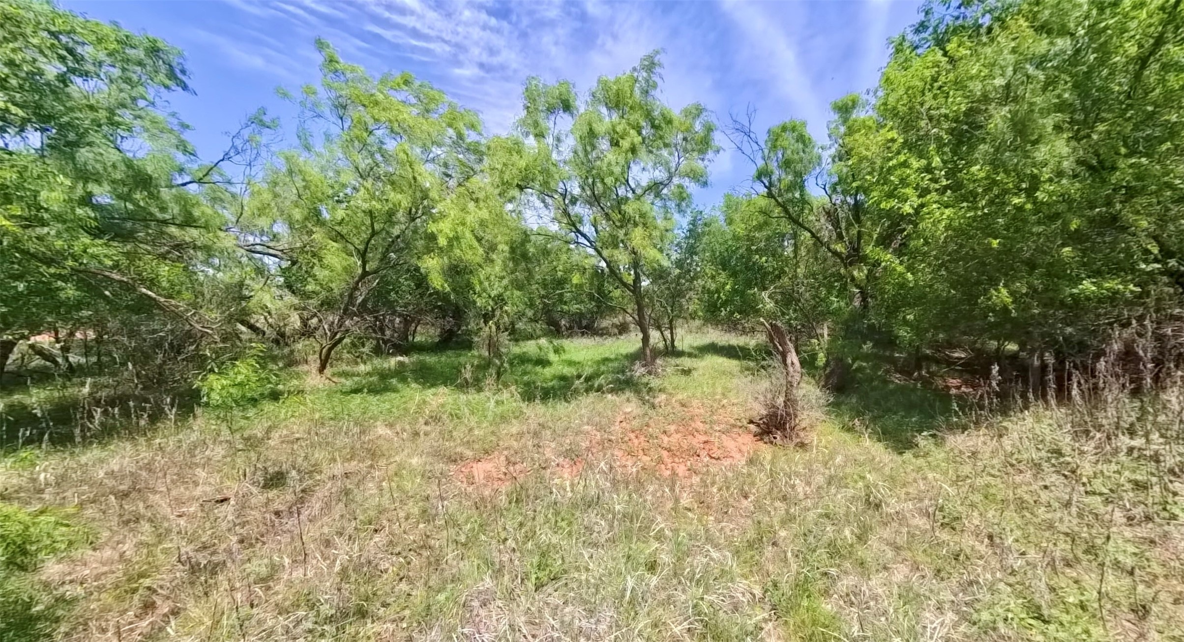 Tbd Fm 57 Roby TX 79560