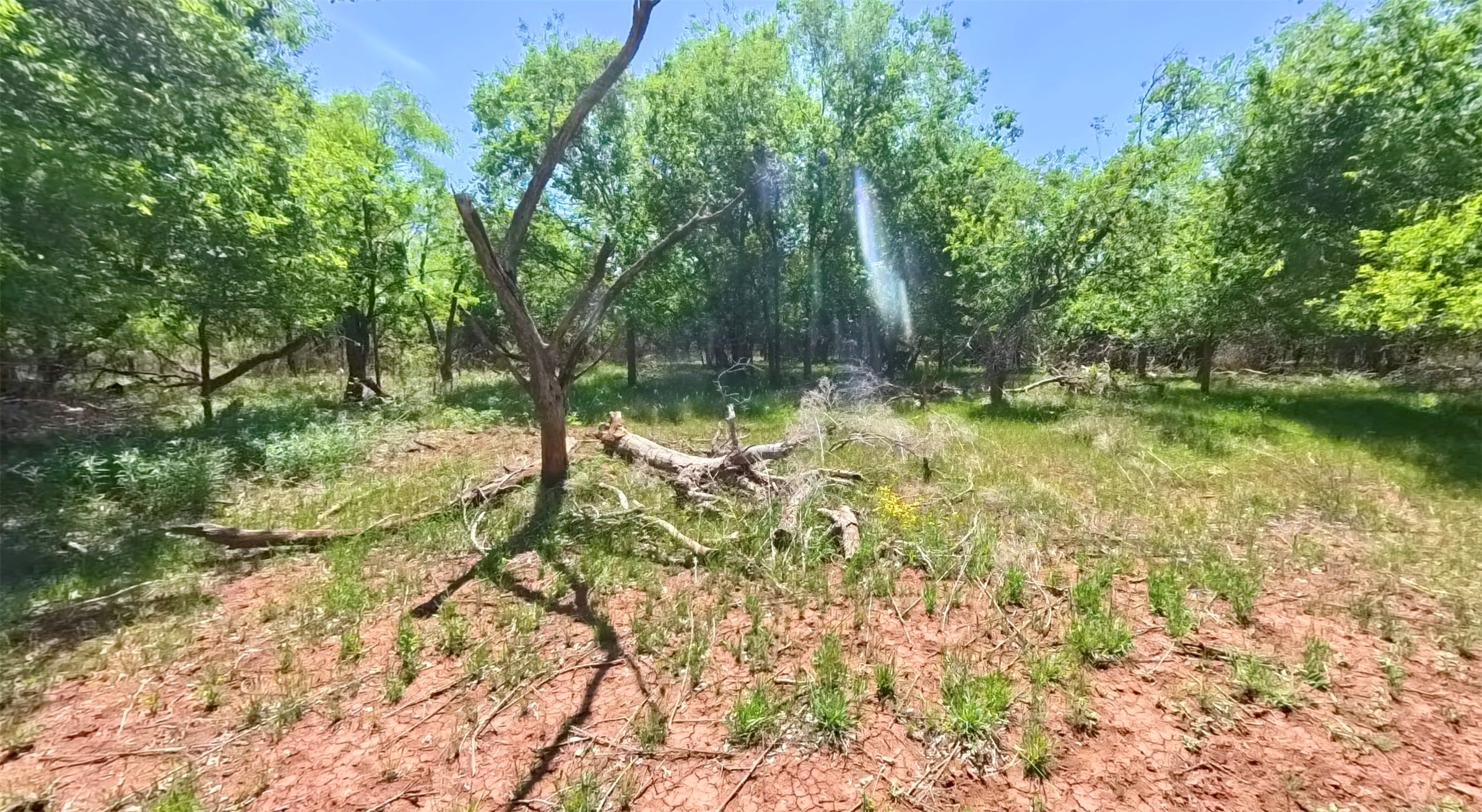 Tbd Fm 57 Roby TX 79560