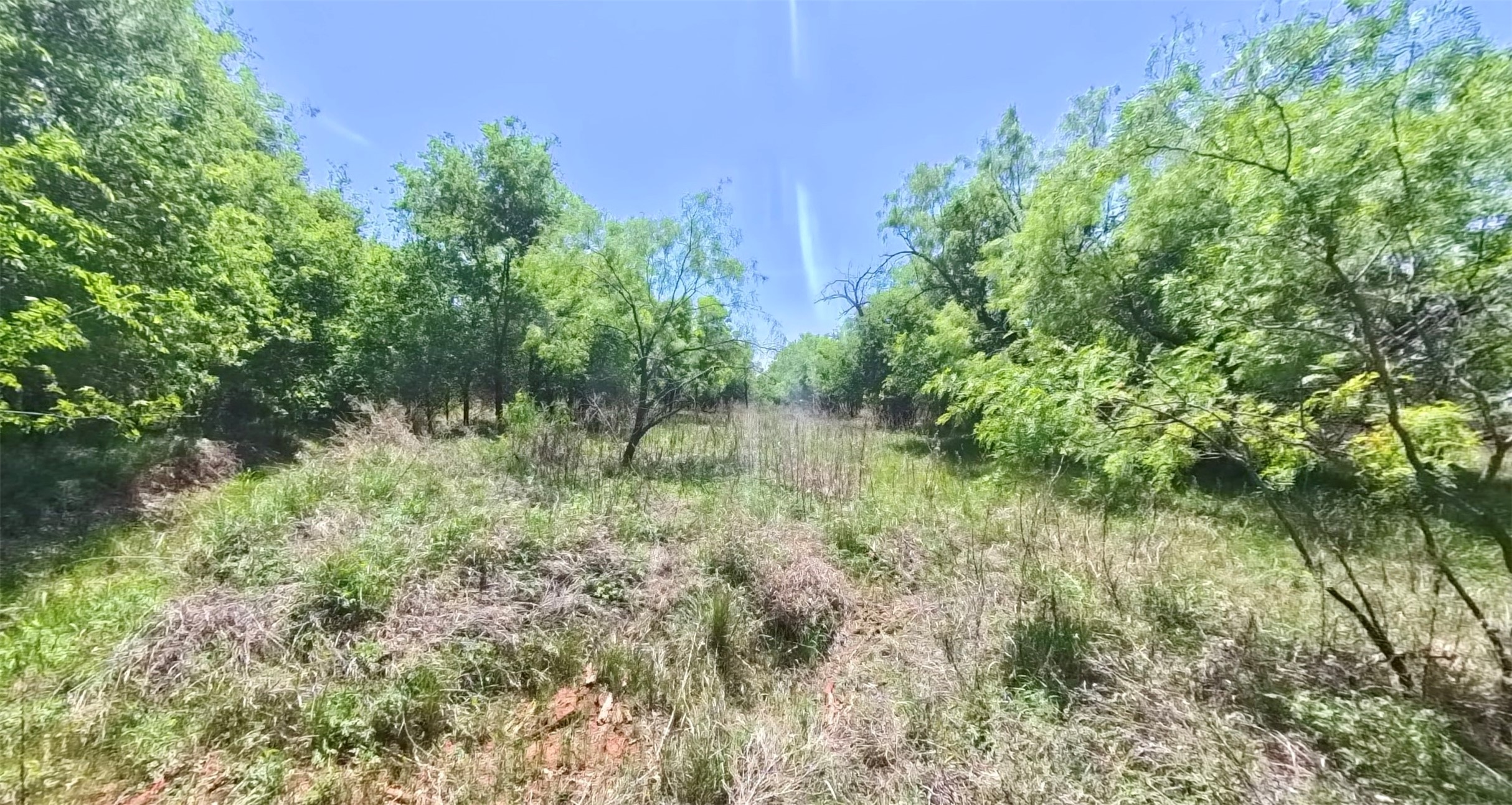 Tbd Fm 57 Roby TX 79560
