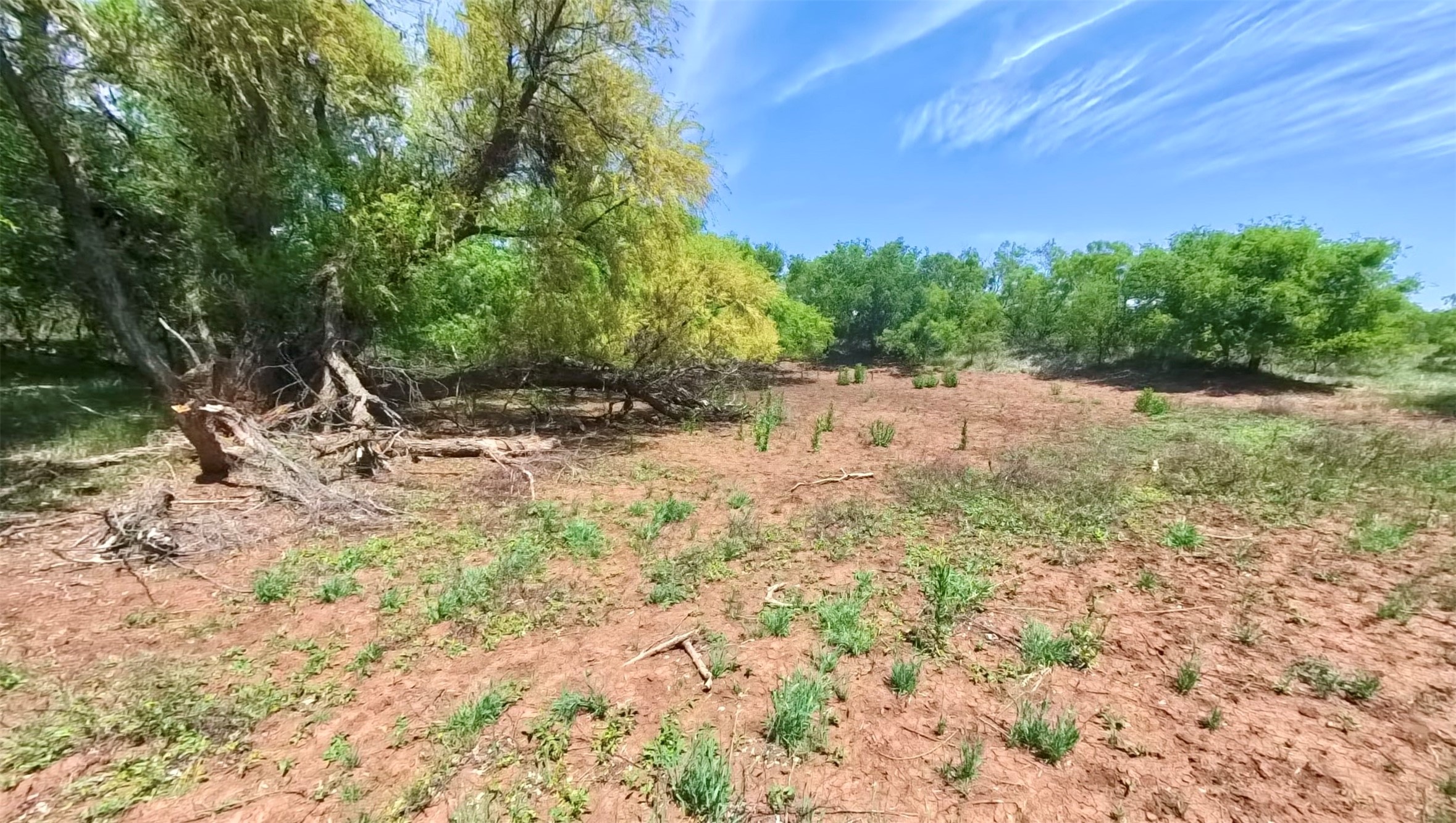 Tbd Fm 57 Roby TX 79560