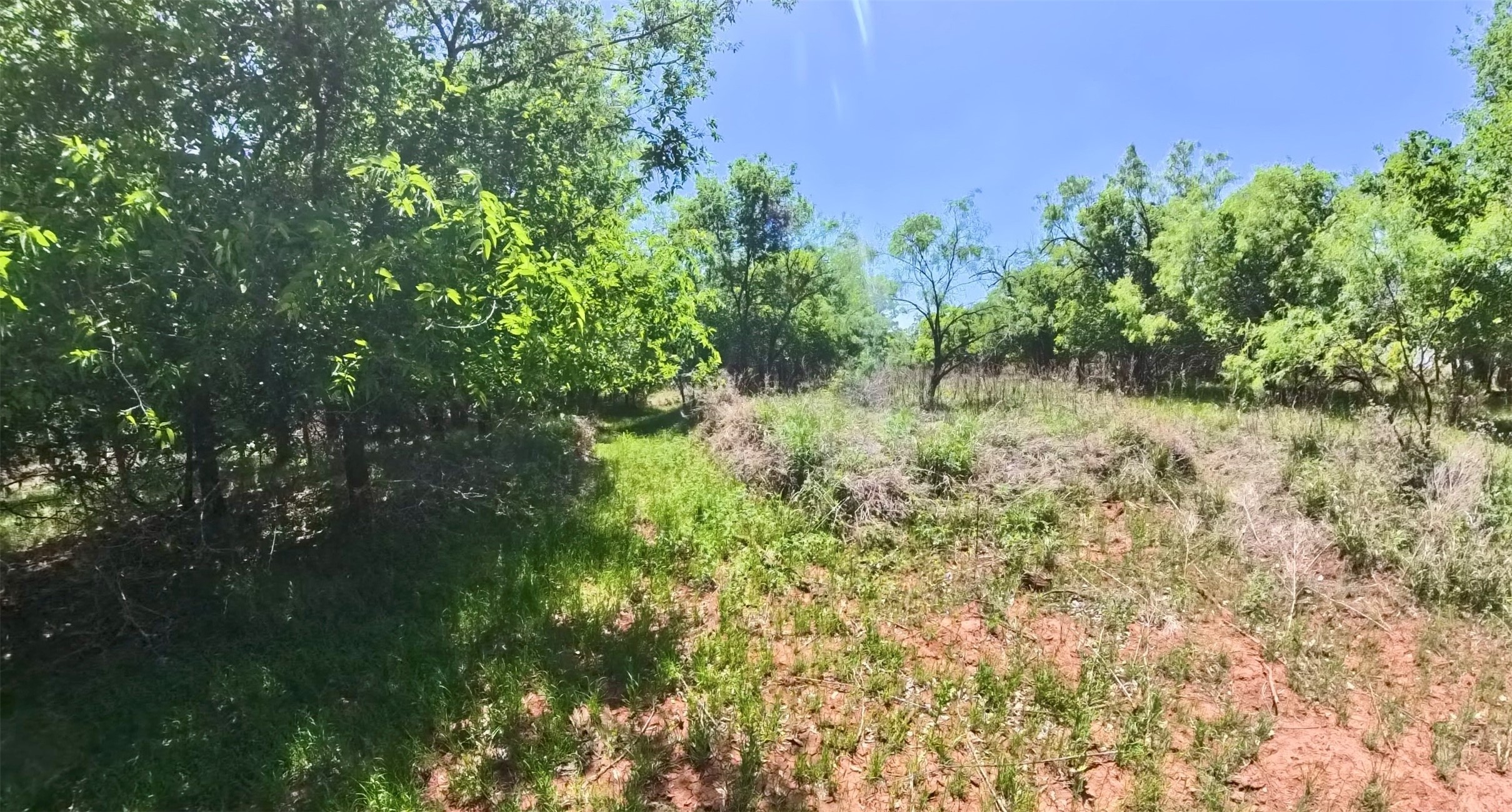 Tbd Fm 57 Roby TX 79560