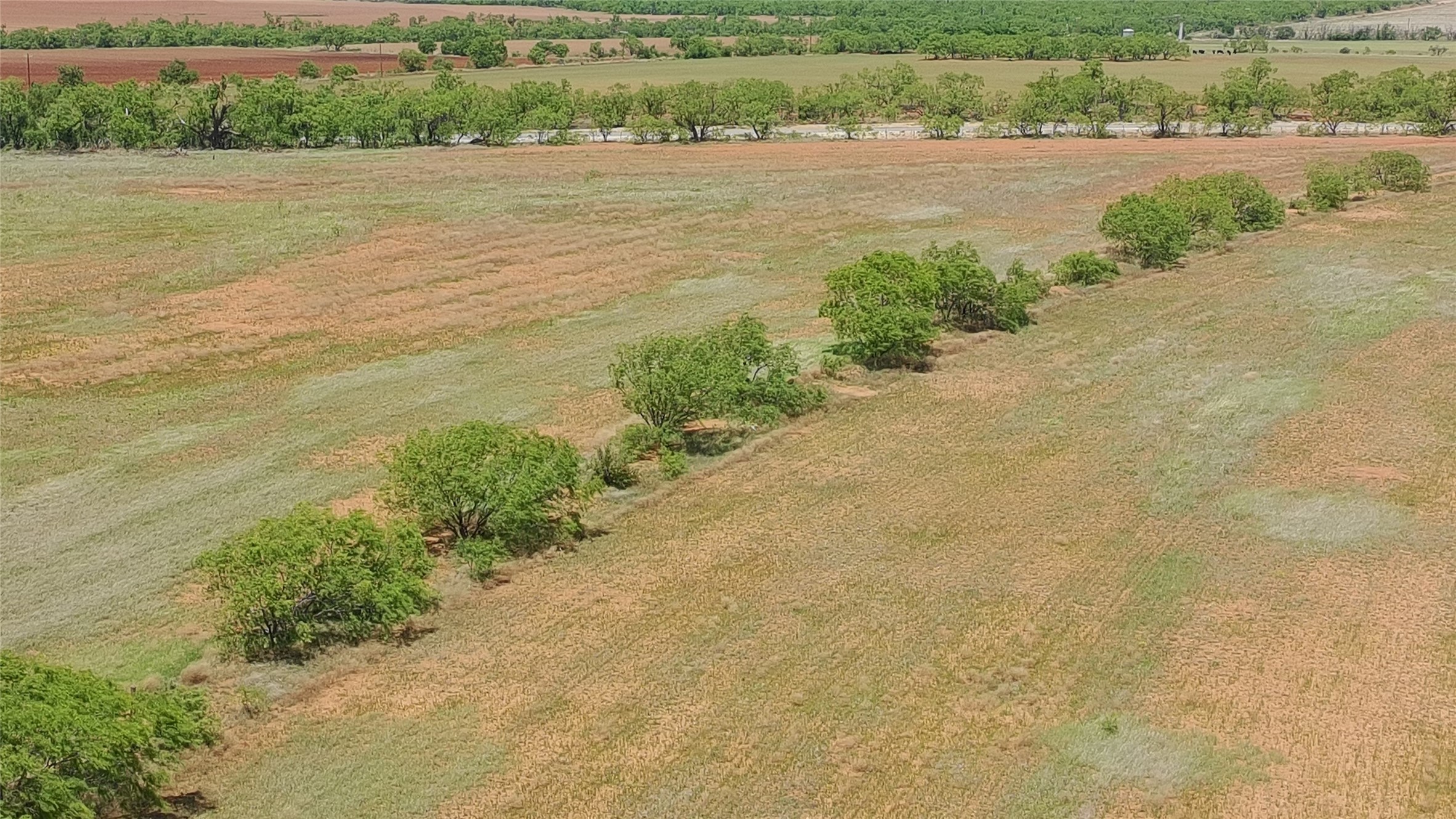 Tbd Fm 57 Roby TX 79560